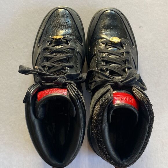 NIKE Men’s Dunk High “Mighty Crown” 2011 Style# 503766-001 Size 10.5